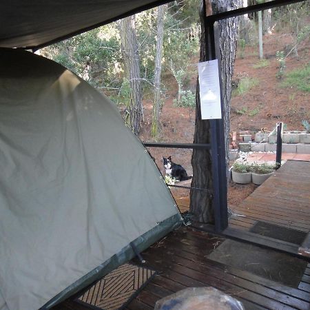 Wildernis Eagles' Call Cottages And Tent מראה חיצוני תמונה
