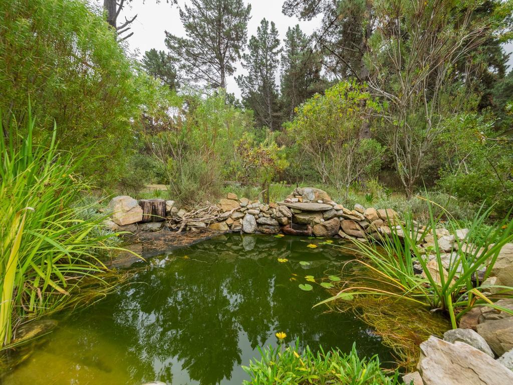 Wildernis Eagles' Call Cottages And Tent מראה חיצוני תמונה