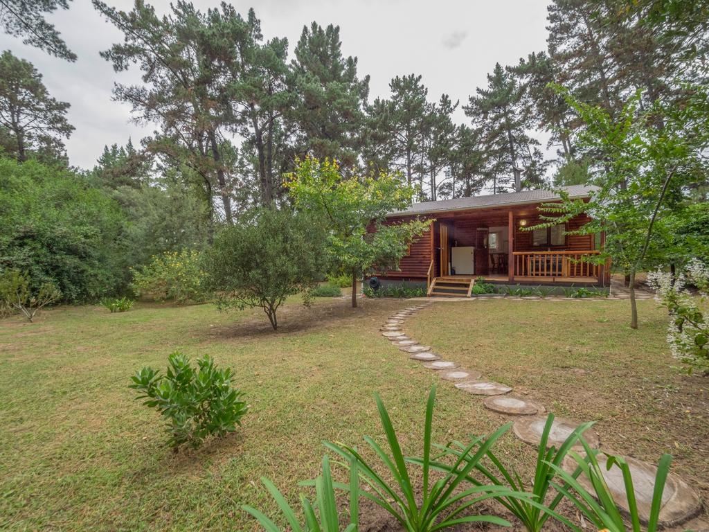Wildernis Eagles' Call Cottages And Tent מראה חיצוני תמונה