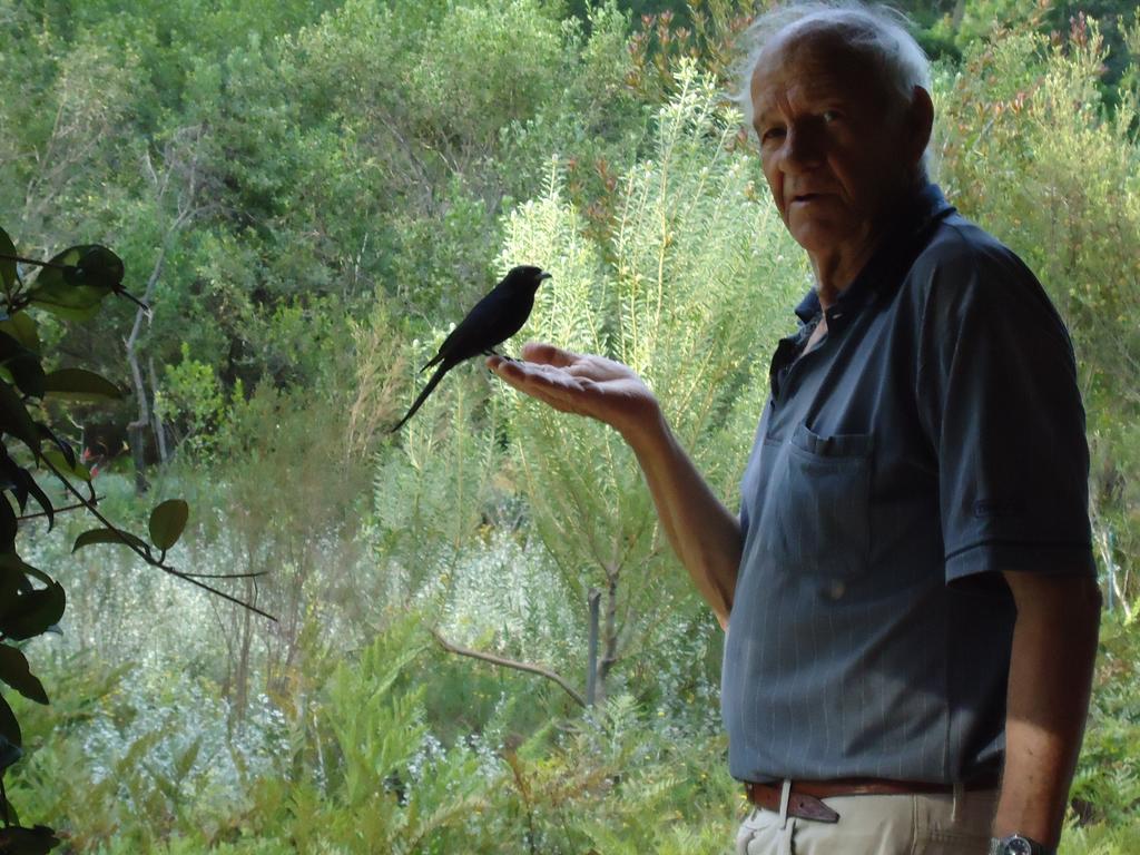 Wildernis Eagles' Call Cottages And Tent מראה חיצוני תמונה