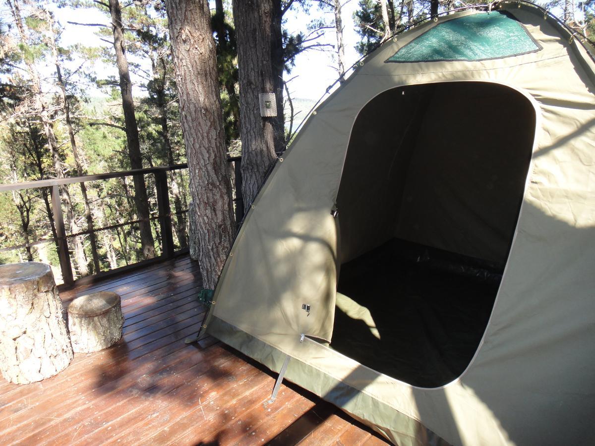 Wildernis Eagles' Call Cottages And Tent מראה חיצוני תמונה