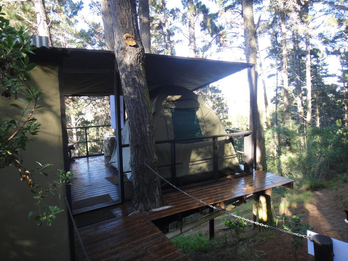 Wildernis Eagles' Call Cottages And Tent מראה חיצוני תמונה