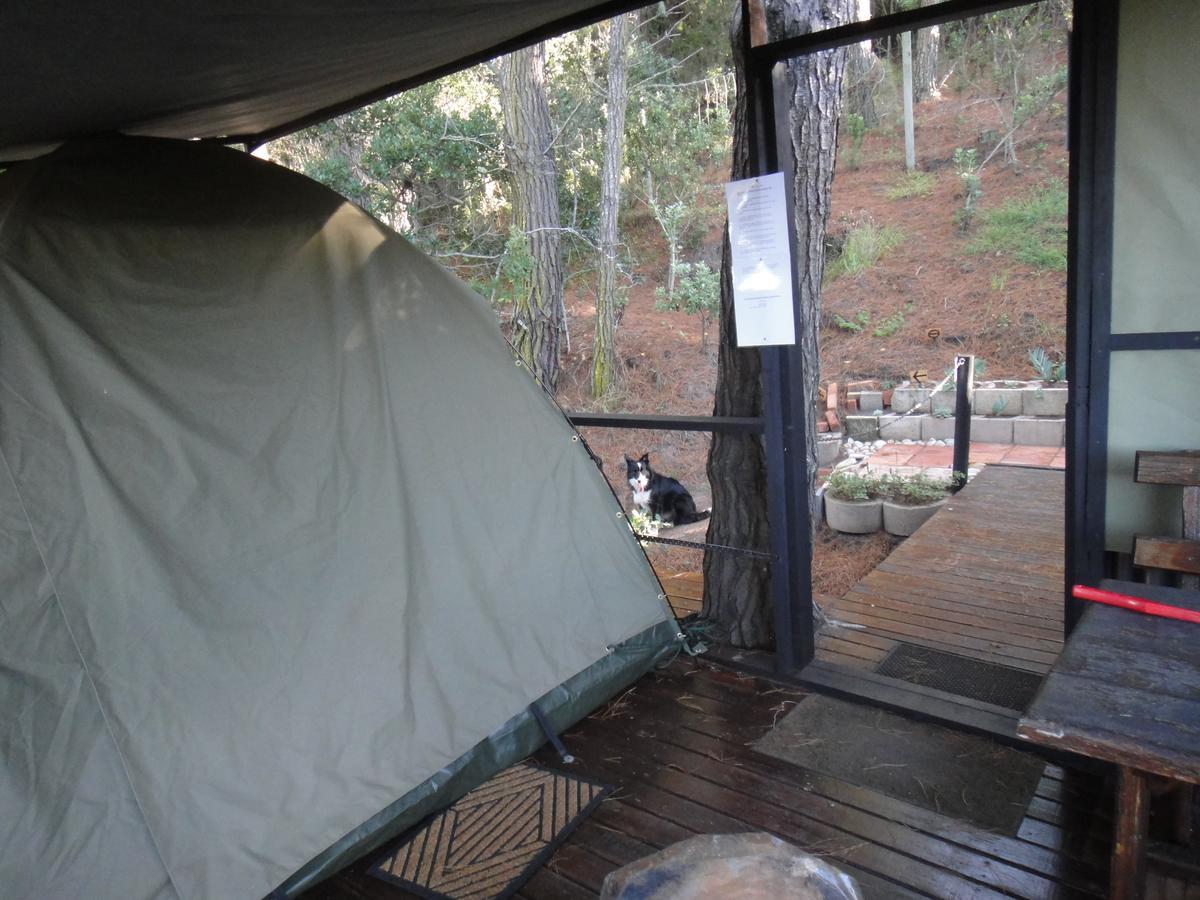 Wildernis Eagles' Call Cottages And Tent מראה חיצוני תמונה