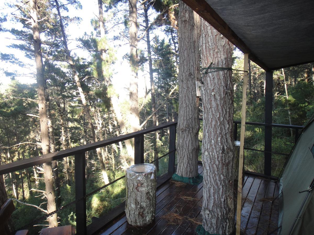 Wildernis Eagles' Call Cottages And Tent מראה חיצוני תמונה