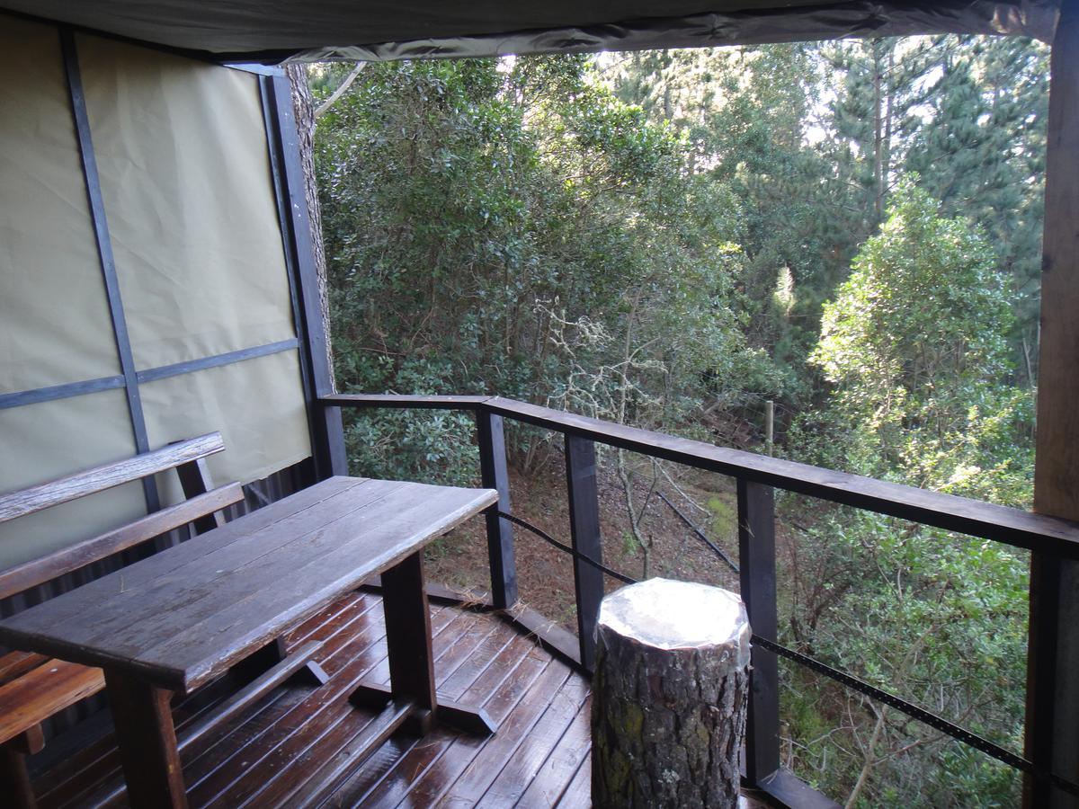 Wildernis Eagles' Call Cottages And Tent מראה חיצוני תמונה